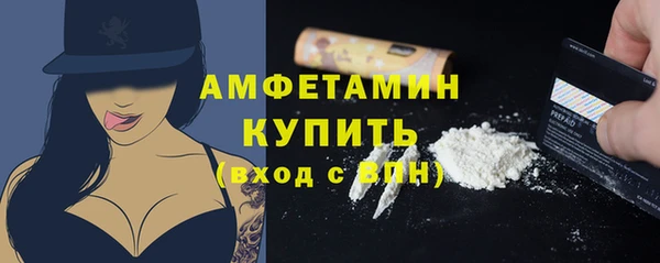 мет Новозыбков