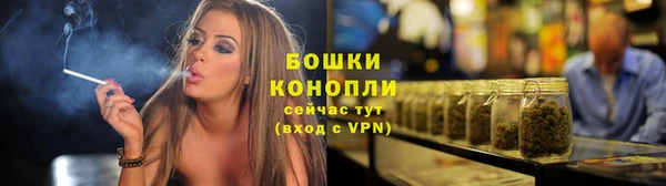 тгк Новокубанск