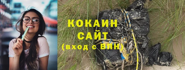 мет Новозыбков