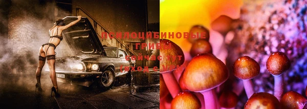 скорость Нефтегорск